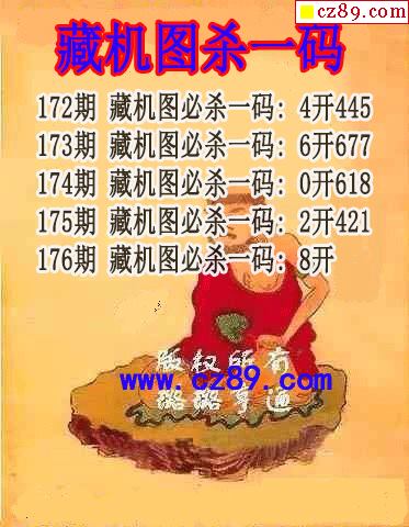 藏机图杀码