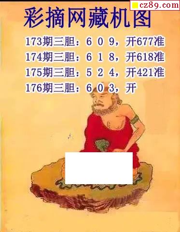 彩摘藏机图