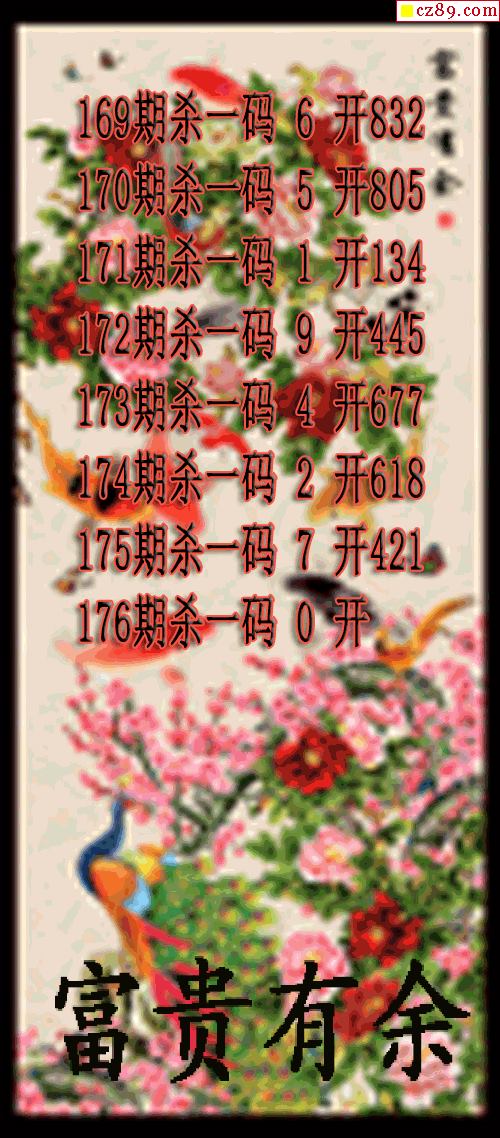 富贵有余杀码