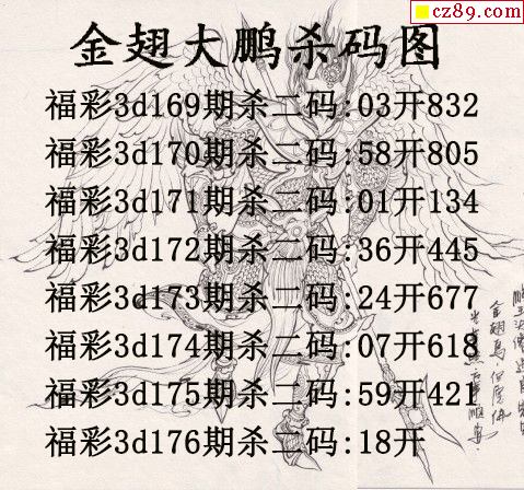 金翅大鹏杀码