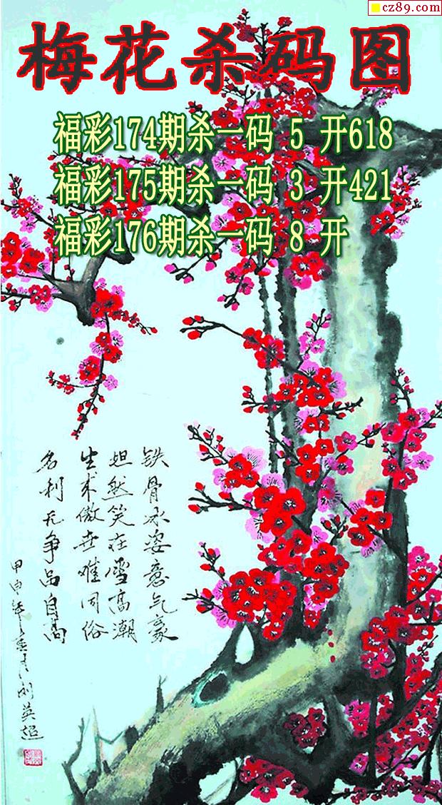 梅花杀码