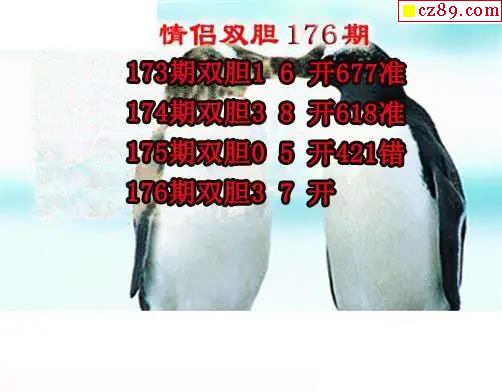 情侣双胆