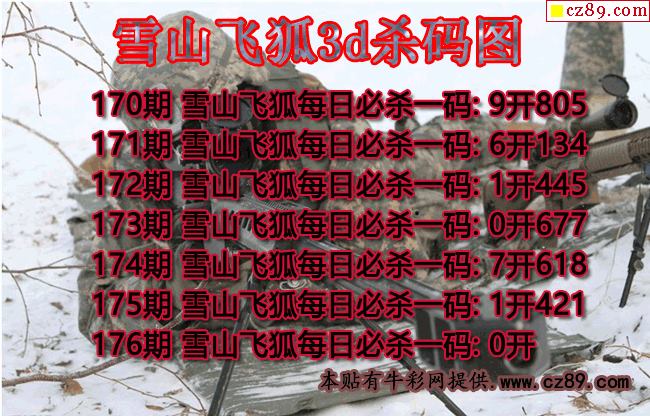 雪山飞狐杀码