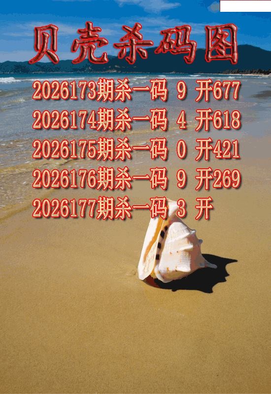 贝壳杀码