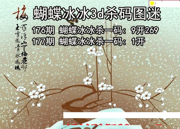 蝴蝶冰冰杀码
