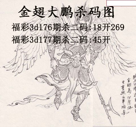 金翅大鹏杀码