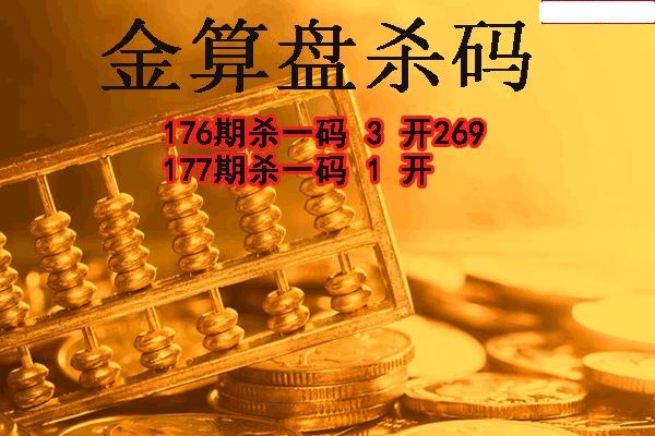 金算盘杀码