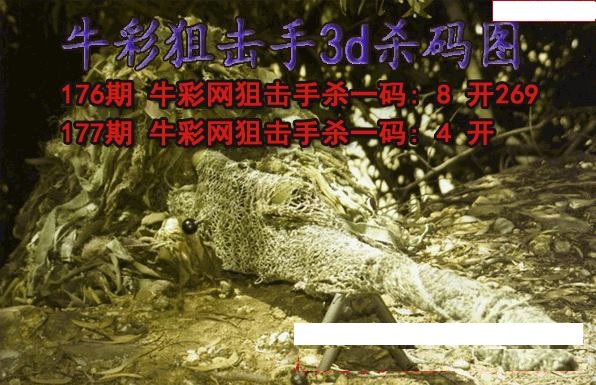 牛彩狙击手杀码