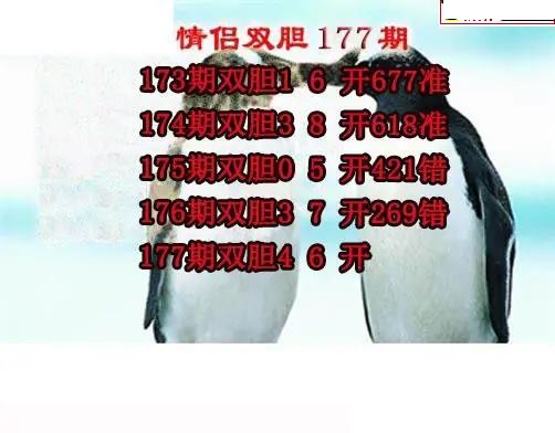 情侣双胆