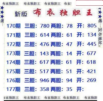 新版布衣独胆王