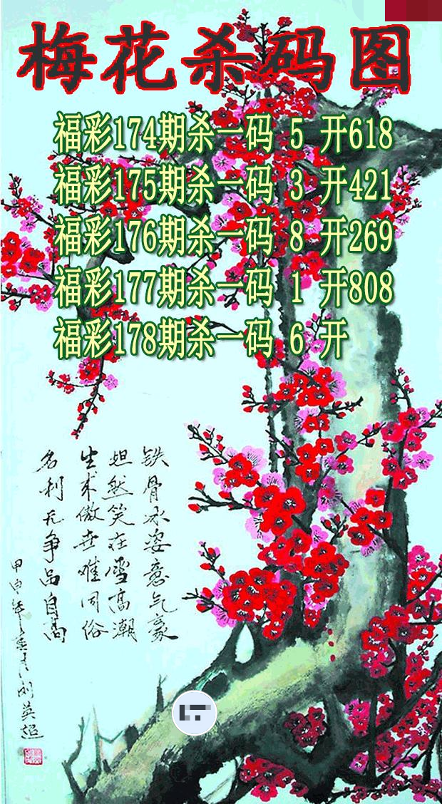 梅花杀码
