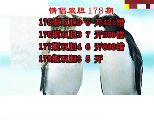 情侣双胆