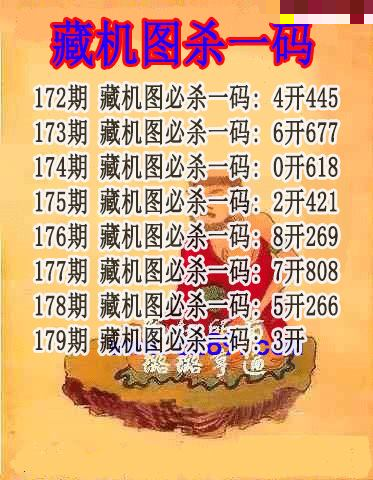 藏机图杀码