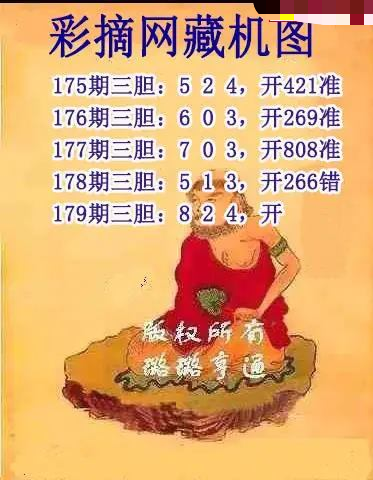 彩摘藏机图