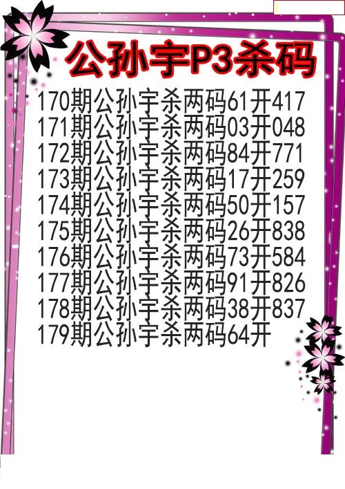 公孙宇杀码图