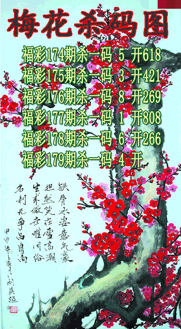 梅花杀码
