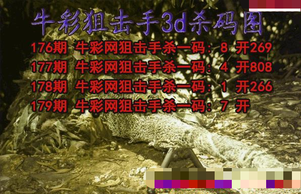 牛彩狙击手杀码