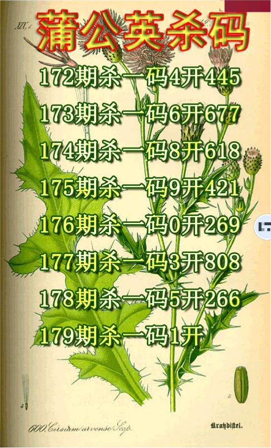 蒲公英杀码