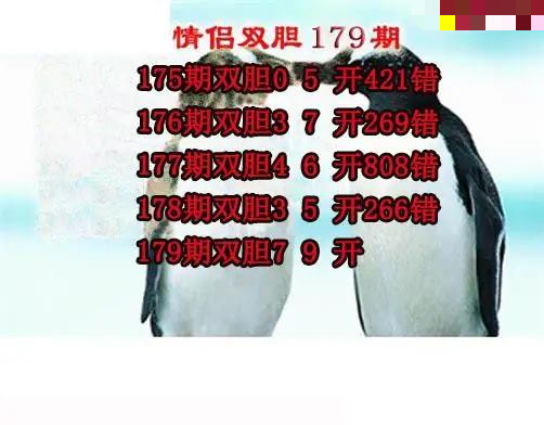 情侣双胆