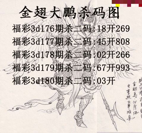 金翅大鹏杀码