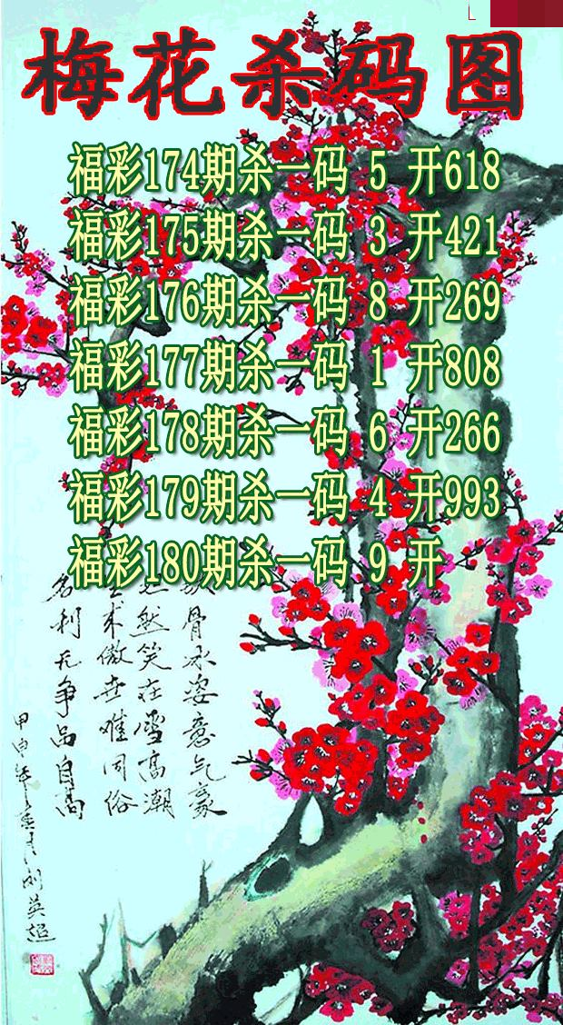 梅花杀码
