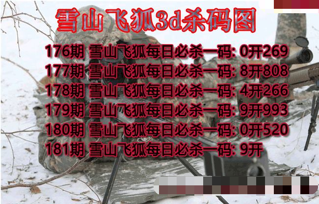 雪山飞狐杀码