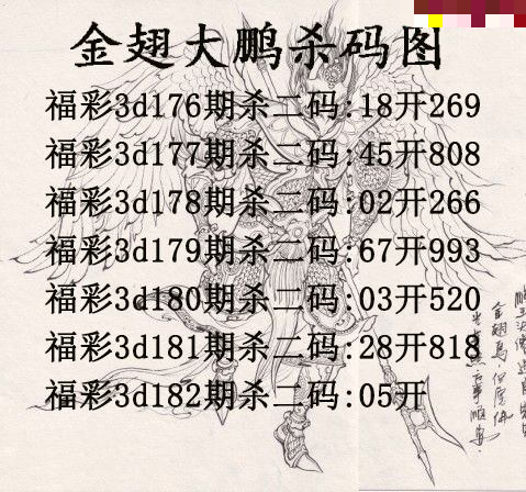 金翅大鹏杀码