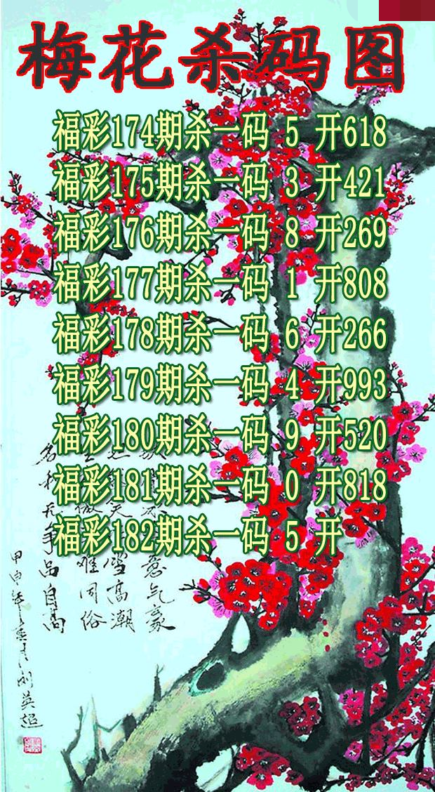梅花杀码