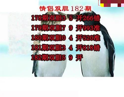 情侣双胆
