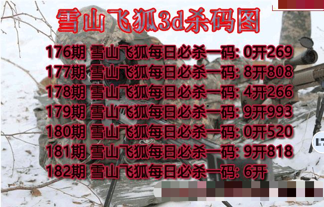 雪山飞狐杀码