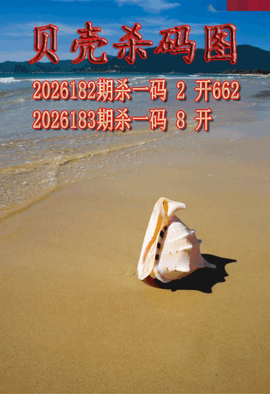 贝壳杀码