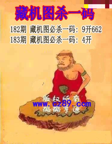 藏机图杀码