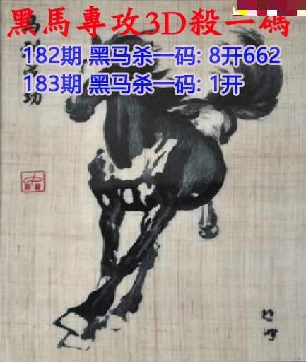 黑马杀码