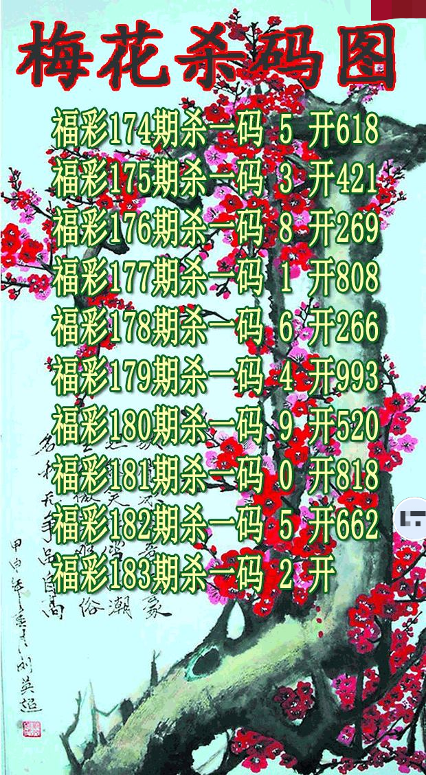 梅花杀码
