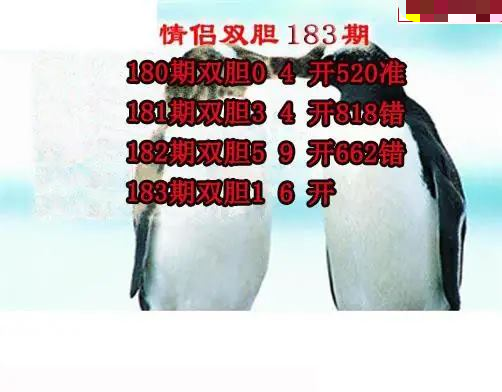 情侣双胆