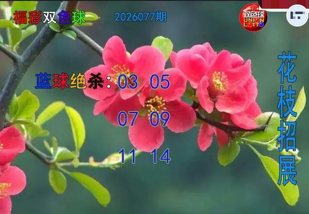 花枝招展蓝球绝杀图 