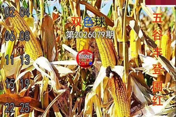 五谷丰登围红图