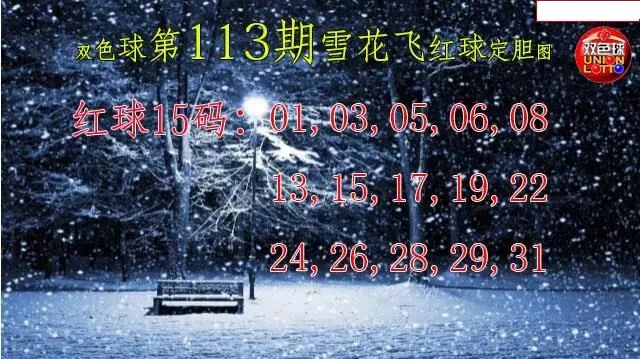 雪花飞红球图