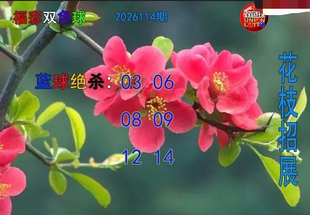 花枝招展蓝球绝杀图