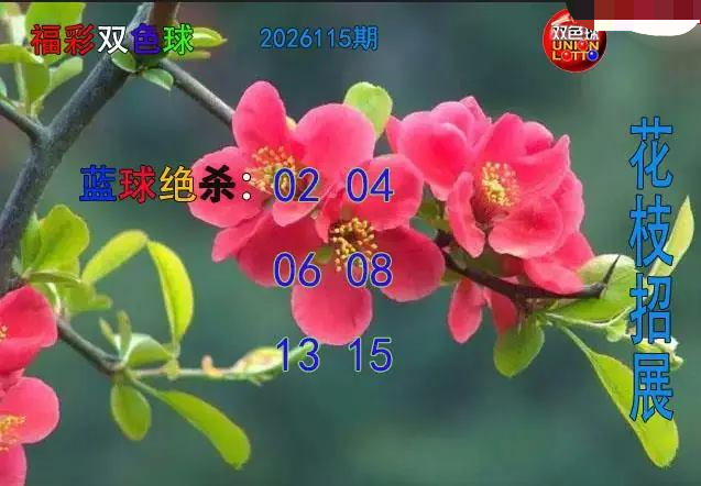 花枝招展蓝球绝杀图