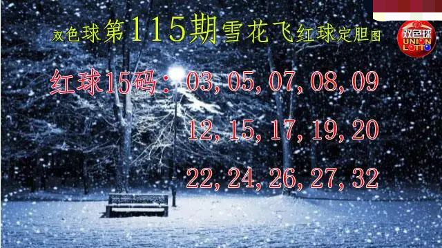 雪花飞红球图
