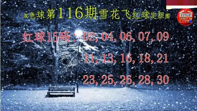 雪花飞红球图