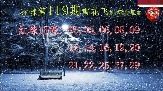 雪花飞红球图