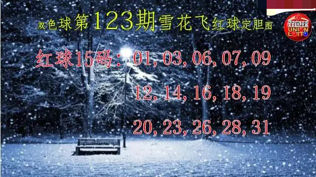 雪花飞红球图