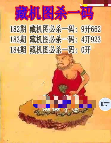 藏机图杀码