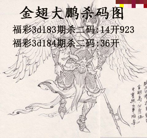 金翅大鹏杀码