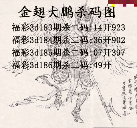金翅大鹏杀码
