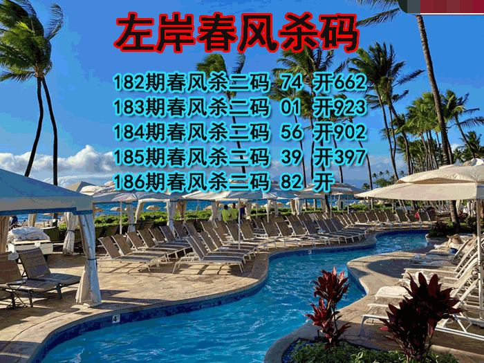 左岸春风杀码