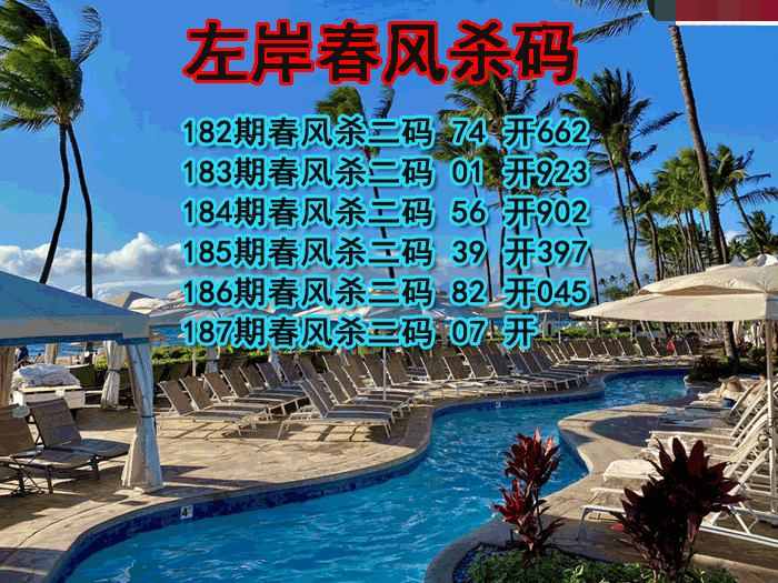 左岸春风杀码