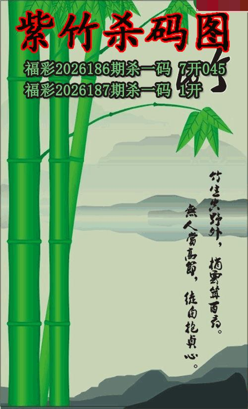 紫竹杀码